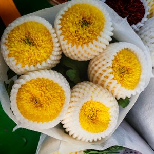 你是我的另一个青春