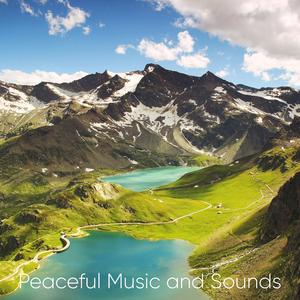 Hang Drum: Peaceful Sounds