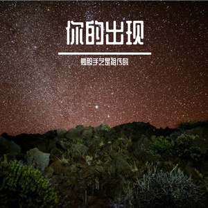 你的出现