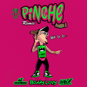 Pinche Party (Remix)