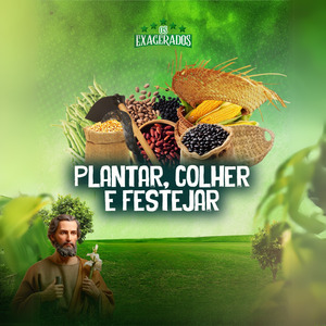 Sertão, Pedra e Poeira