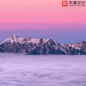 阿珍我爱你 (钢琴)