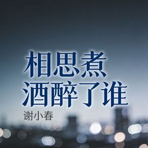 相思煮酒醉了谁
