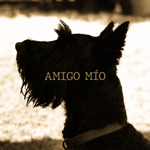 Amigo Mío