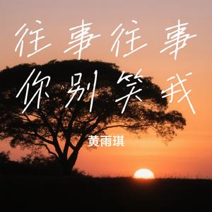 往事往事你别笑我