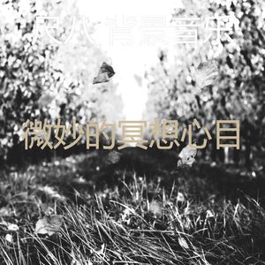 抚慰的冥想回忆