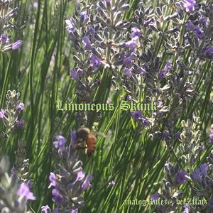 analogRulez (beeZflatz)