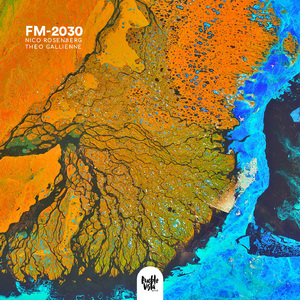 FM-2030