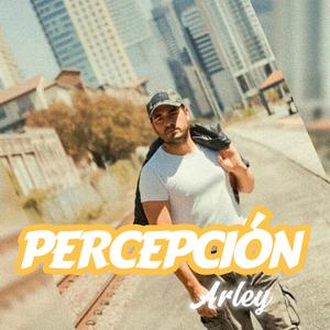 PERCEPCION