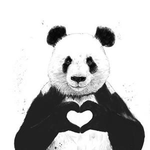 我们一起走过的十年