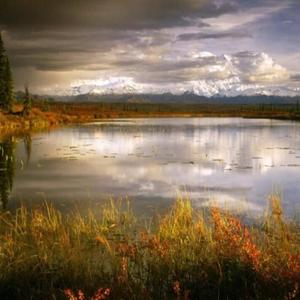 红孩儿-爱何求DJR7串烧版