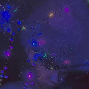 เธอรู้บ้างไหมว่าฉันไม่ชิน