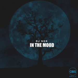 Am In The Mood (AfroDrum Mix)