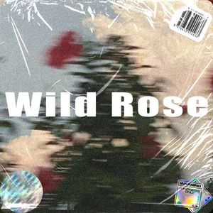 [FREE]“WildRose”Gray K-pop Type Beat