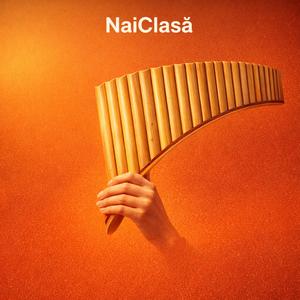 NaiClasa