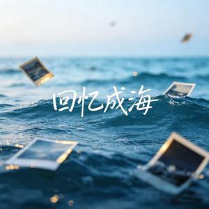 回忆成海（思念成灾）