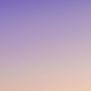 Neapolitan Dreams Trap