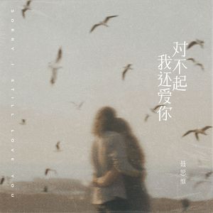 对不起，我还爱你（伴奏）