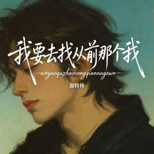 我要去找从前那个我（有风的日落）