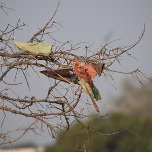 Khush Toh Hai Na