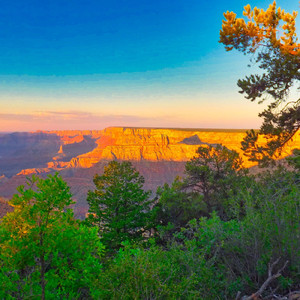 いくつもの夜を