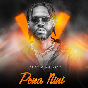 Pona Nini