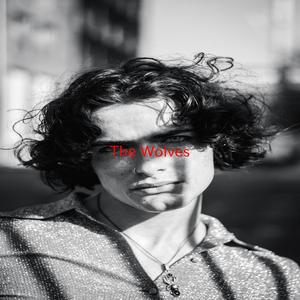 The Wolves (Complete version originally performed by Ben Howard)