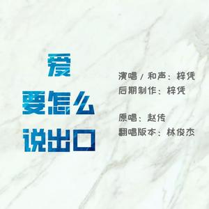 爱要怎么说出口（翻自 林俊杰live）
