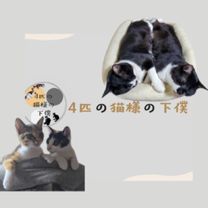 たくさん遊んで、たくさん食べて、たくさん寝て。