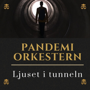 Ljuset i tunneln