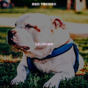 诗意的小狗节奏