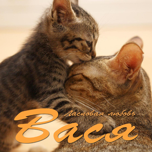 Обними меня нежно