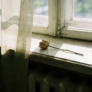 春风伏笔