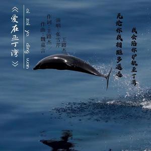 爱在亚丁湾 伴奏