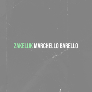 Zakelijk
