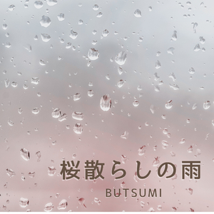 桜散らしの雨