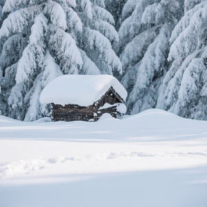 分手在这个冬季