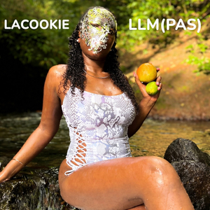 LLM (Pas)
