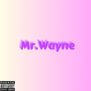 Mr.Wayne（韦恩先生）