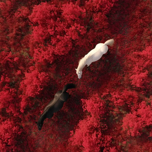 NO ONE CLAPS FOR THE LOSER