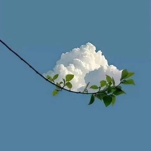 拾荒讲故事的人{男版}