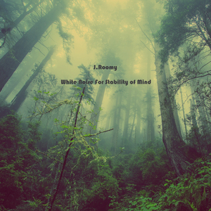 계곡 (백색소음 자연 화이트노이즈)