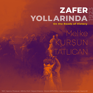 Şekib Bey'in Taarruzu