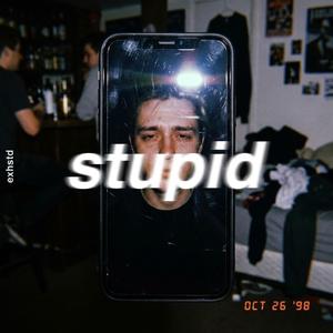 stupid