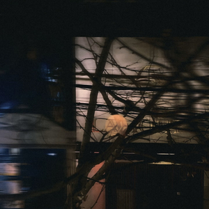 旧照片又泛黄了些