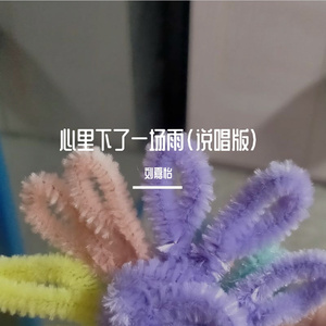 心里下了一场雨(说唱版) (现场)