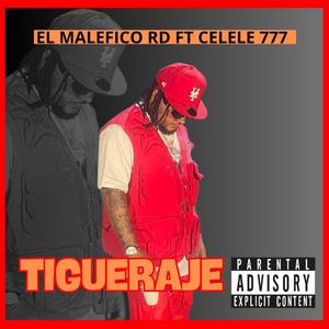 TIGUERAJE (feat. CELELE 777)
