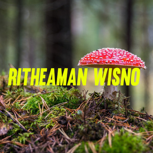 Sendiri Yang Kau Minta