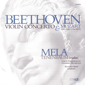 Violin Concerto in D Major, Op. 61: 1. Allegro ma non troppo