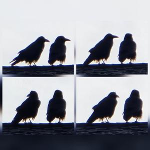 3ooz